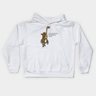 Realistic drawing of Gallimimus Kids Hoodie